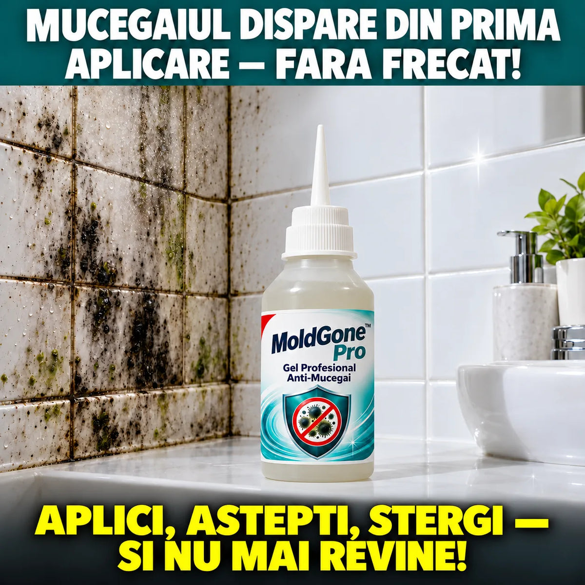 Gel pentru îndepărtarea mucegaiului